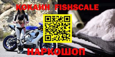 прущие грибы Ковров