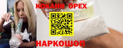 прущие грибы Ковров