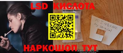 прущие грибы Ковров