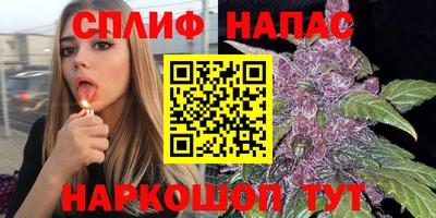 прущие грибы Ковров