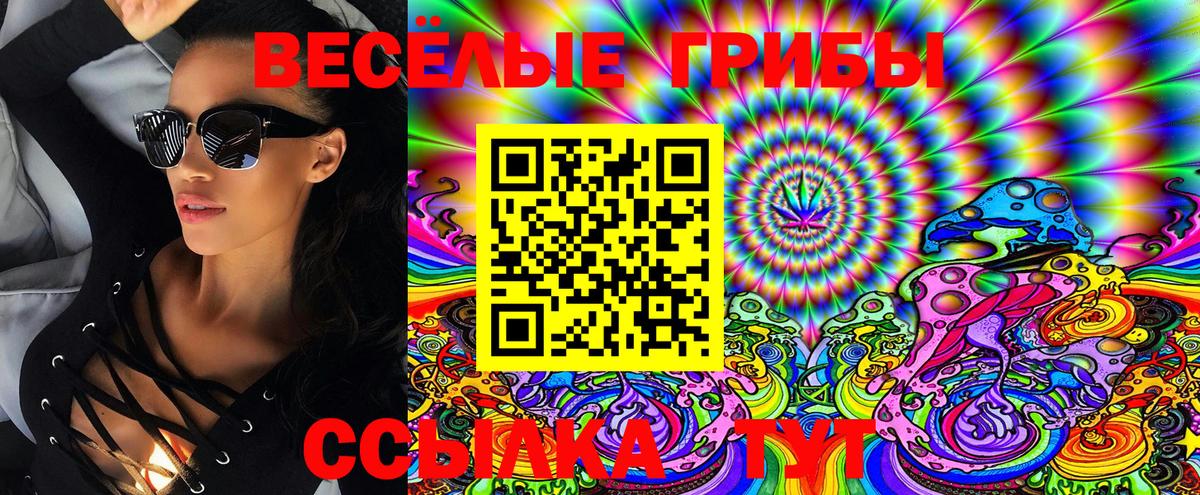 купить  сайты  Псилоцибиновые грибы Psilocybe  Псилоцибиновые грибы мухоморы  Вход с VPN  Моршанск 
