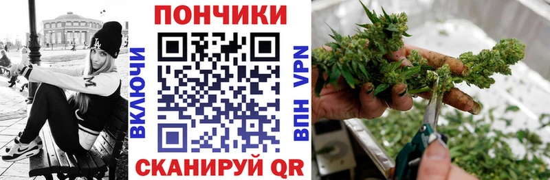 Бошки Шишки Amnesia где купить Моршанск
